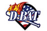 D Bat Wood Baseball Bats